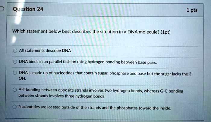 SOLVED: Which statement below best describes the situation in a DNA ...
