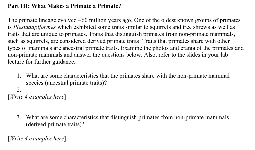 SOLVED Part III What Makes a Primate a Primate? The primate lineage