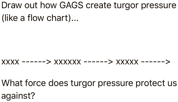 Ccccxxxxxx - SOLVED: Draw out how GAGS create turgor pressure (like a flow chart). XXXX  CCCCâ€“ > XXXXXX > XXXXX CCSâ€”> What force does turgor pressure protect us  against?
