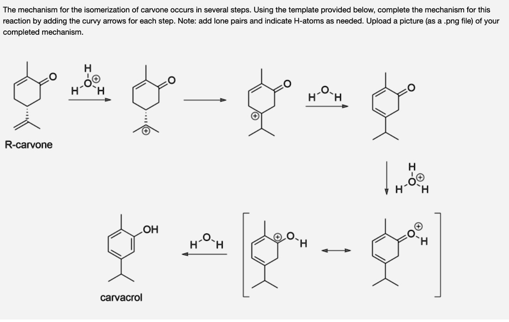 the mechanism for the isomerization of carvone occurs in several ...