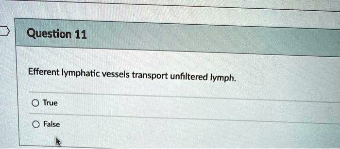 Efferent lymphatic vessels transport unfiltered lymph.
True
False