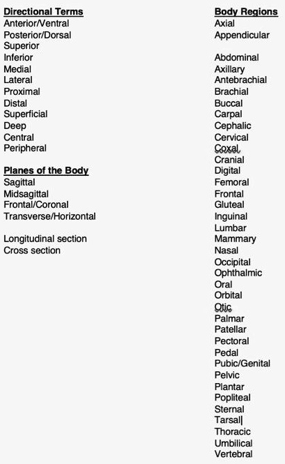 SOLVED: Texts: Directional Terms Anterior, Central, Posterior/Dorsal