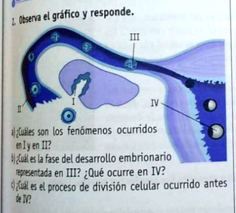 Solved Ayuda Es Para Mañana Observa El Igráfico Y Responde Iv D Uáles Son Los Fenómenos 2397