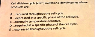 cell division cycle cdc mutations identify genes whose products are arequired throughout the cell cycle bexpressed at a specific phase of the cell cycle cnormally temperature sensitive drequ 95457