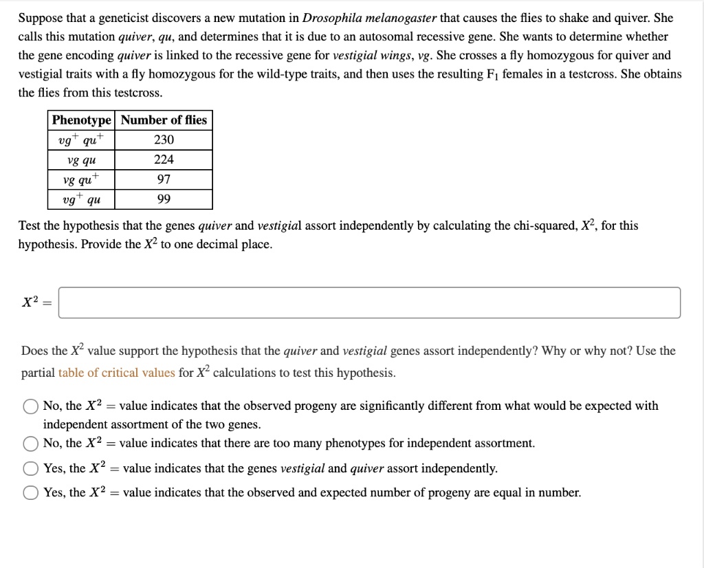Suppose that a geneticist discovers a new mutation in Drosophila melanogaster that causes the flies to shake and quiver. She calls this mutation quiver, qu, and determines that it is due to an autosomal recessive gene. She wants to determine whether the gene encoding quiver is linked to the recessive gene for vestigial wings, vg. She crosses a fly homozygous for quiver and vestigial traits with a fly homozygous for the wild-type traits, and then uses the resulting F1 females in a testcross. She obtains the flies from this testcross.

Phenotype | Number of flies
vg+ qu+ | 230
vg qu | 224
vg qu+ | 97
vg+ qu | 99

Test the hypothesis that the genes quiver and vestigial assort independently by calculating the chi-squared, X^2, for this hypothesis. Provide the X^2 to one decimal place.

X^2 =

Does the X^2 value support the hypothesis that the quiver and vestigial genes assort independently? Why or why not? Use the partial table of critical values for X^2 calculations to test this hypothesis.

No, the X^2 = value indicates that the observed progeny are significantly different from what would be expected with independent assortment of the two genes.
No, the X^2 = value indicates that there are too many phenotypes for independent assortment.
Yes, the X^2 = value indicates that the genes vestigial and quiver assort independently.
Yes, the X^2 = value indicates that the observed and expected number of progeny are equal in number.