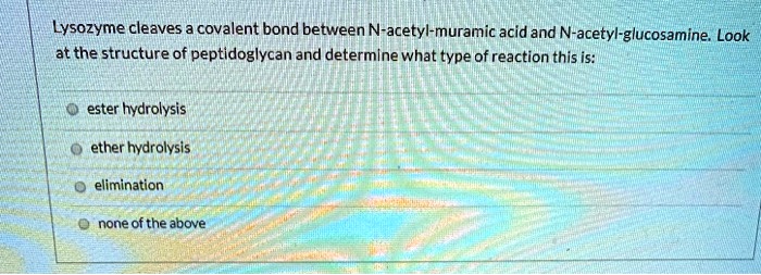 Lysozyme cleaves covalent bond between n acetyl muramic...