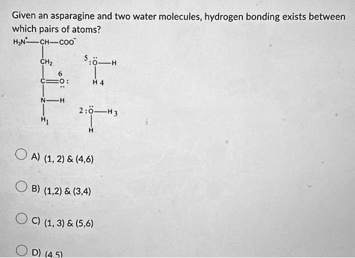 Solved Given An Asparagine And Two Water Molecules Hydrogen Bonding Exists Between Which Pairs