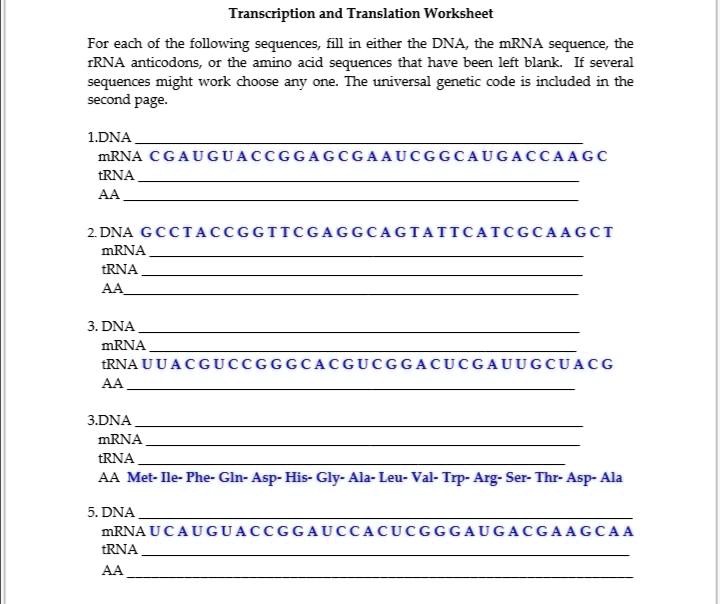 transcription and translation worksheet for each of the following ...