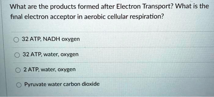 SOLVED: What are the products formed after Electron Transport? What is ...