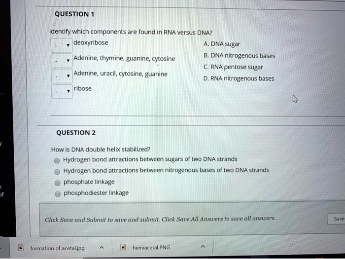 Identify which components are found in RNA versus DNA? Deoxyribose DNA ...