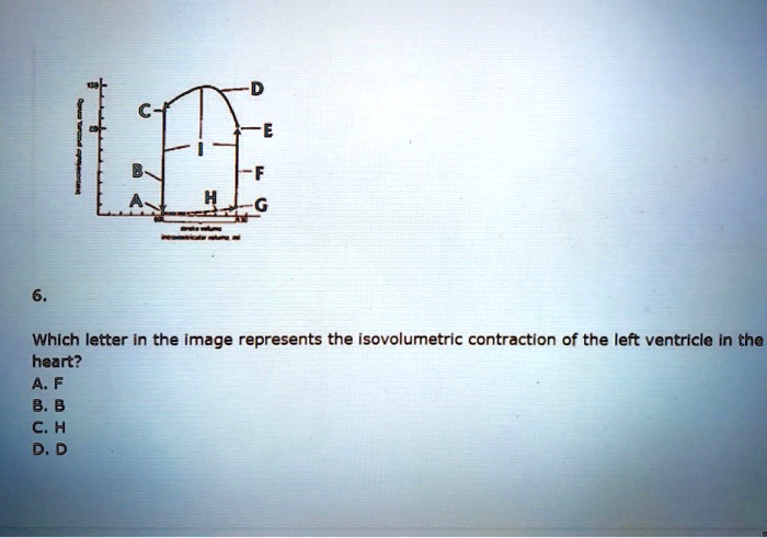 SOLVED: 6. Which letter in the image represents the isovolumetric ...