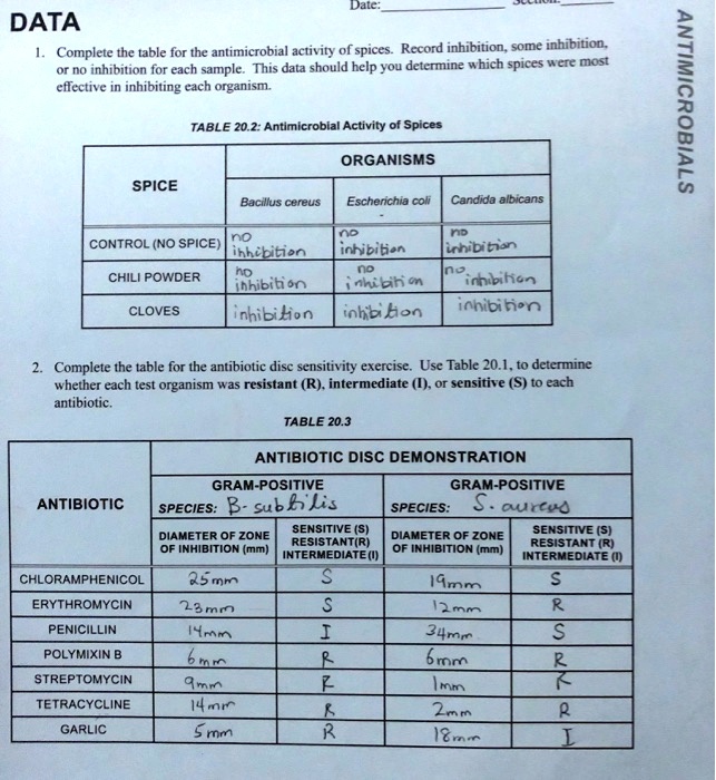 SOLVED Dale DATA Complete the table for the antimicrobial activity of