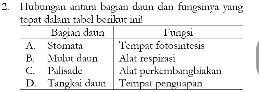 SOLVED: Hubungan Antara Bagian Daun Dan Fungsinya Yang Tepat Dalam ...