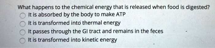 What happens to the chemical energy that is released when food is digested?
It is absorbed by the body to make ATP
It is transformed into thermal energy
It passes through the GI tract and remains in the feces
It is transformed into kinetic energy