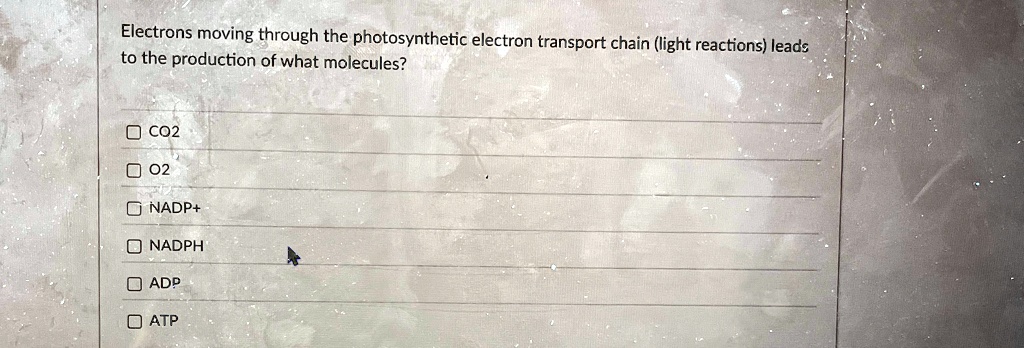 Electrons moving through the photosynthetic electron transport chain (light reactions) leads to the production of what molecules?
CO2
O2
NADP+
NADPH
ADP
ATP