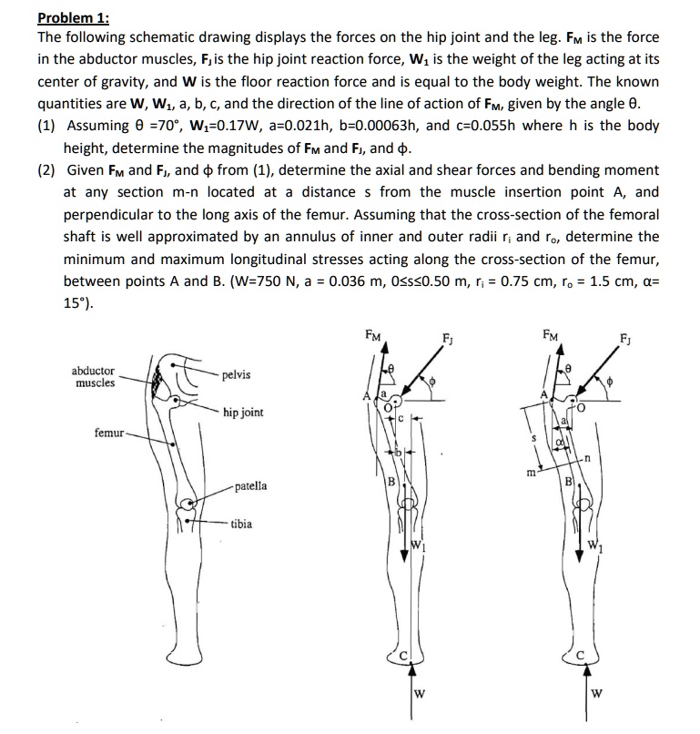 problem 1 the following schematic drawing displays the forces on the ...