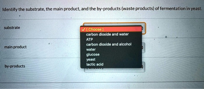 Identify the substrate, the main product, and the by-products (waste products) of fermentation in yeast.

substrate
[ Choose ]
carbon dioxide and water
ATP
carbon dioxide and alcohol
water
glucose
yeast
lactic acid

main product

by-products