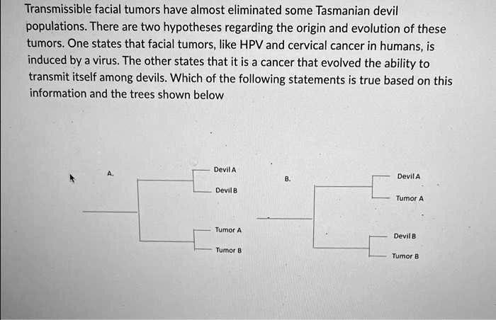 SOLVED: Transmissible facial tumors have almost eliminated some