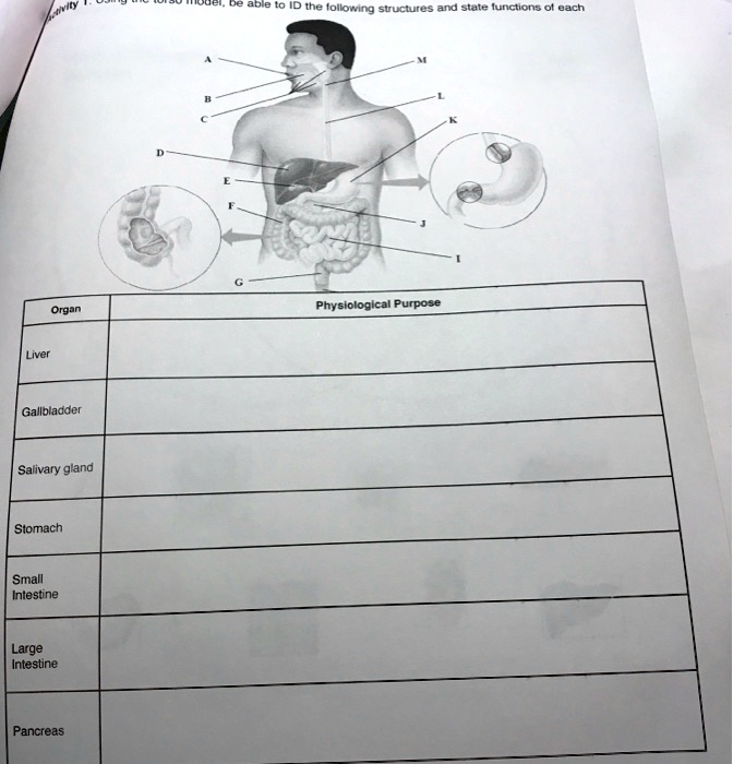 SOLVED ID the following structures and state functions of each