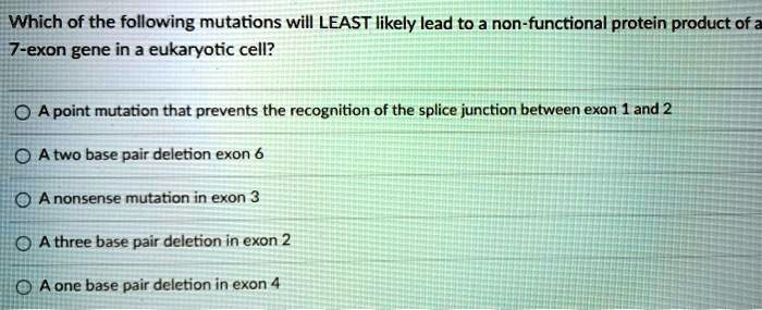 Which of the following mutations will LEAST likely lead to a non-functional protein product of a 7-exon gene in a eukaryotic cell?

A point mutation that prevents the recognition of the splice junction between exon 1 and 2
A two base pair deletion exon 6
A nonsense mutation in exon 3
A three base pair deletion in exon 2
A one base pair deletion in exon 4