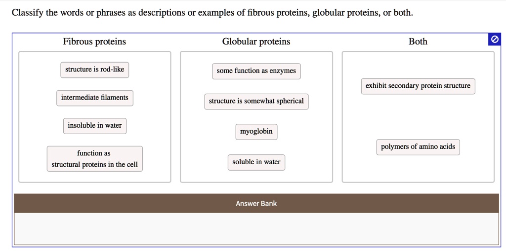 SOLVED Classify the words or phrases as descriptions Or examples of