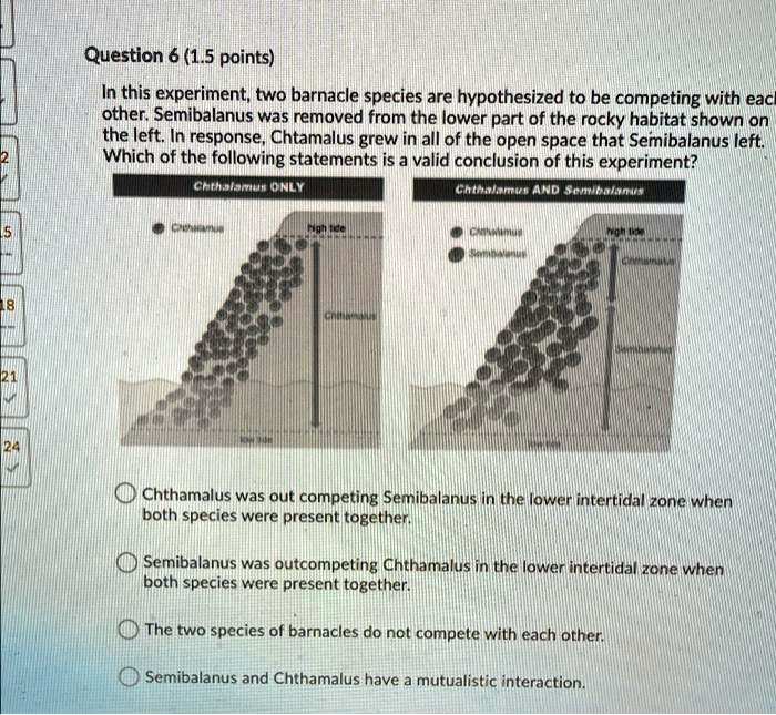 In this experiment, two barnacle species are hypothesized to be competing with each other. Semibalanus was removed from the lower part of the rocky habitat shown on the left. In response, Chtamalus grew in all of the open space that Semibalanus left. Which of the following statements is a valid conclusion of this experiment?
Chthalamus was out competing Semibalanus in the lower intertidal zone when both species were present together.
Semibalanus was outcompeting Chthamalus in the lower intertidal zone when both species were present together.
The two species of barnacles do not compete with each other.
Semibalanus and Chthamalus have a mutualistic interaction.