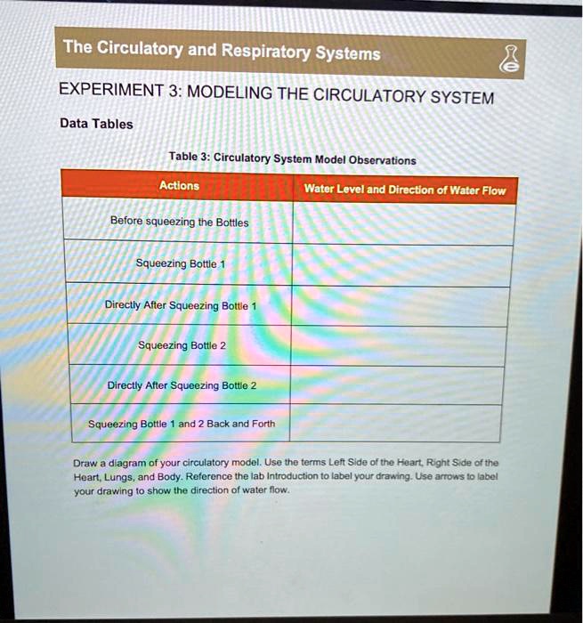 experiment 3 modeling the circulatory system
