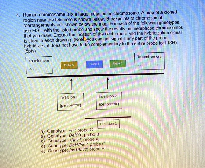 SOLVED: Human chromosome 3 is a large metacentric chromosome. A map of ...