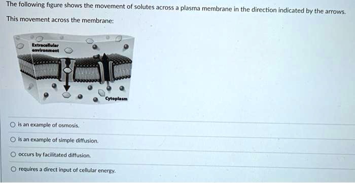 The following figure shows the movement of solutes across a plasma membrane in the direction indicated by the arrows.
This movement across the membrane:
Extracellular environment
Cytoplasm
is an example of osmosis.
is an example of simple diffusion.
occurs by facilitated diffusion.
requires a direct input of cellular energy.