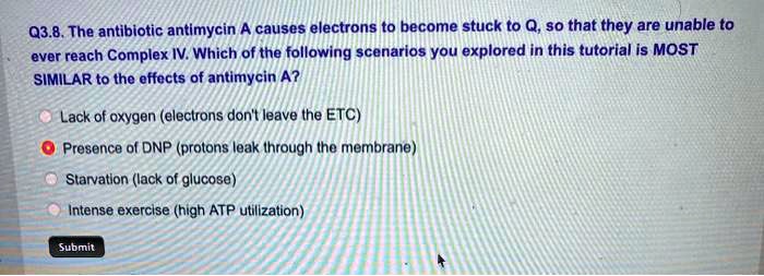 Q3.8. The antibiotic antimycin A causes electrons to become stuck to Q, so that they are unable to ever reach Complex IV. Which of the following scenarios you explored in this tutorial is MOST SIMILAR to the effects of antimycin A?
Lack of oxygen (electrons don't leave the ETC)
Presence of DNP (protons leak through the membrane)
Starvation (lack of glucose)
Intense exercise (high ATP utilization)