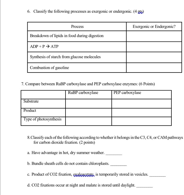 SOLVED: Text: Classify the following processes as exergonic or ...