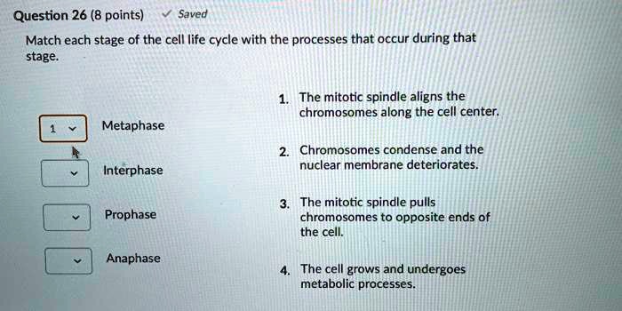 SOLVED: Question 26 (8 points) Saved Match each stage of the cell life ...