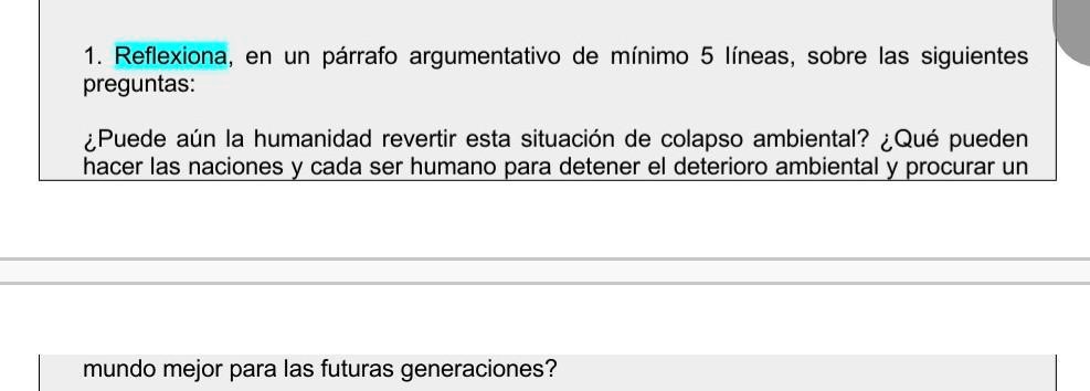 SOLVED: reflexiona en un parrafo argumentativo de minino 5 lineas ...