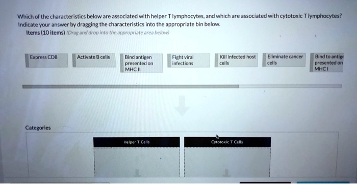 Which of the characteristics below are associated with helper T lymphocytes, and which are associated with cytotoxic T lymphocytes?
Indicate your answer by dragging the characteristics into the appropriate bin below.
Items (10 items) (Drag and drop into the appropriate area below)
Express CD8
Activate B cells
Bind antigen
presented on
MHC II
Fight viral
infections
Kill infected host
cells
Eliminate cancer
cells
Bind to antigen
presented on
MHC I
Categories
Helper T Cells
Cytotoxic T Cells