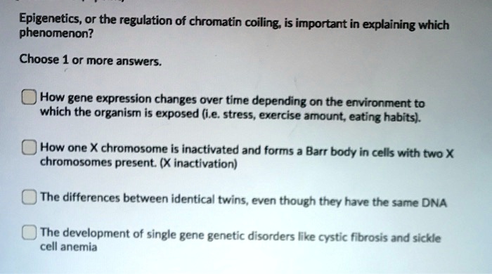 Epigenetics, or the regulation of chromatin coiling, is important in explaining which phenomenon?

Choose 1 or more answers.

How gene expression changes over time depending on the environment to which the organism is exposed (i.e. stress, exercise amount, eating habits).

How one X chromosome is inactivated and forms a Barr body in cells with two X chromosomes present. (X inactivation)

The differences between identical twins, even though they have the same DNA

The development of single gene genetic disorders like cystic fibrosis and sickle cell anemia