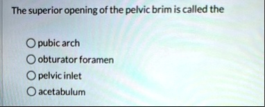 the superior opening of the pelvic brim is called the o pubic arch o obturator foramen o pelvic inlet o acetabulum 76135