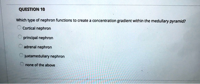 SOLVED: QUESTION 10 Which type of nephron functions to create a ...