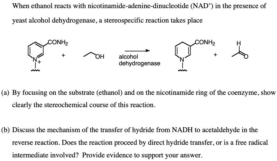 SOLVED When ethanol reacts with nicotinamideadeninedinucleotide