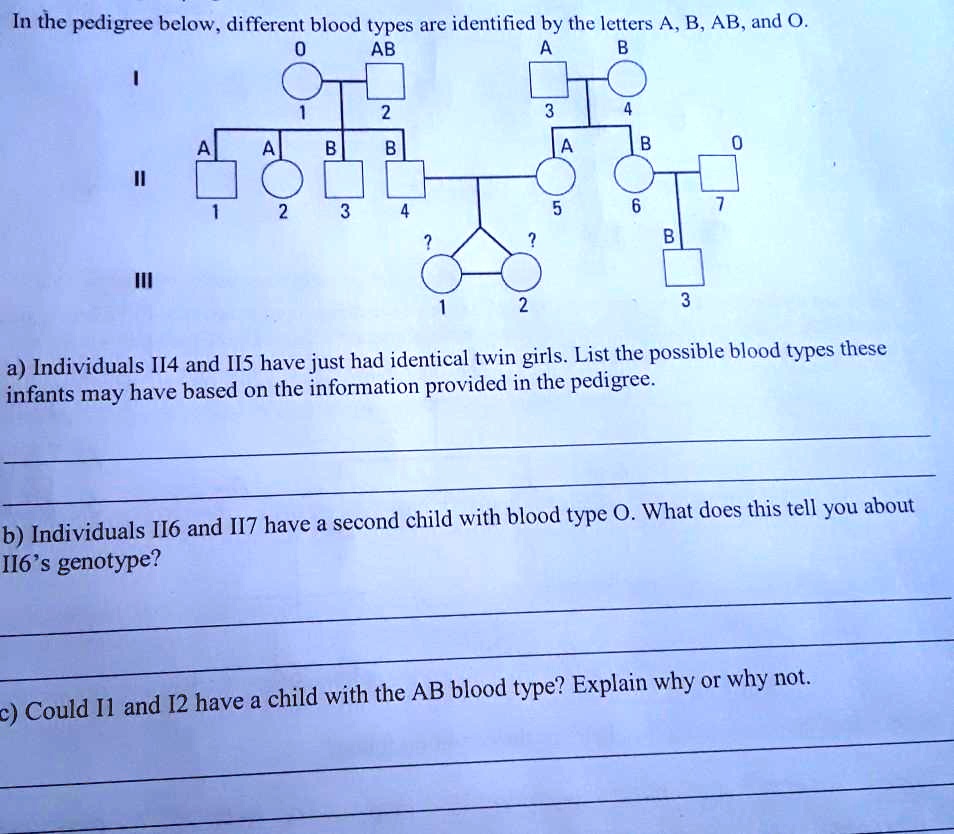 SOLVED: In the pedigree below, different blood types are identified by ...