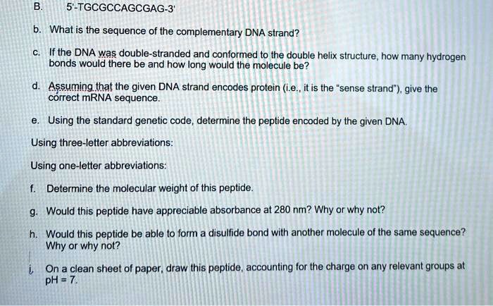 Solved 5 Tgcgccagcgag 3 What Is The Sequence Of The Complementary Dna Strand If The Dna Was Double Stranded And Conformed To The Double Helix Structure How Many Hydrogen Bonds Would There Be And How Long