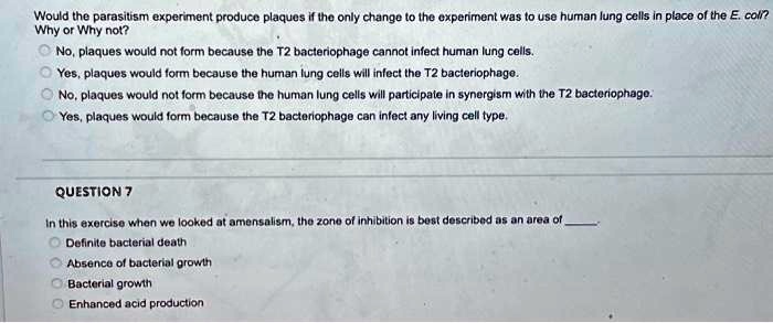 Would the parasitism experiment produce plaques if the only change to the experiment was to use human lung cells in place of the E. coli?
Why or Why not?
No, plaques would not form because the T2 bacteriophage cannot infect human lung cells.
Yes, plaques would form because the human lung cells will infect the T2 bacteriophage.
No, plaques would not form because the human lung cells will participate in synergism with the T2 bacteriophage.
Yes, plaques would form because the T2 bacteriophage can infect any living cell type.
QUESTION 7
In this exercise when we looked at amensalism, the zone of inhibition is best described as an area of
Definite bacterial death
Absence of bacterial growth
Bacterial growth
Enhanced acid production