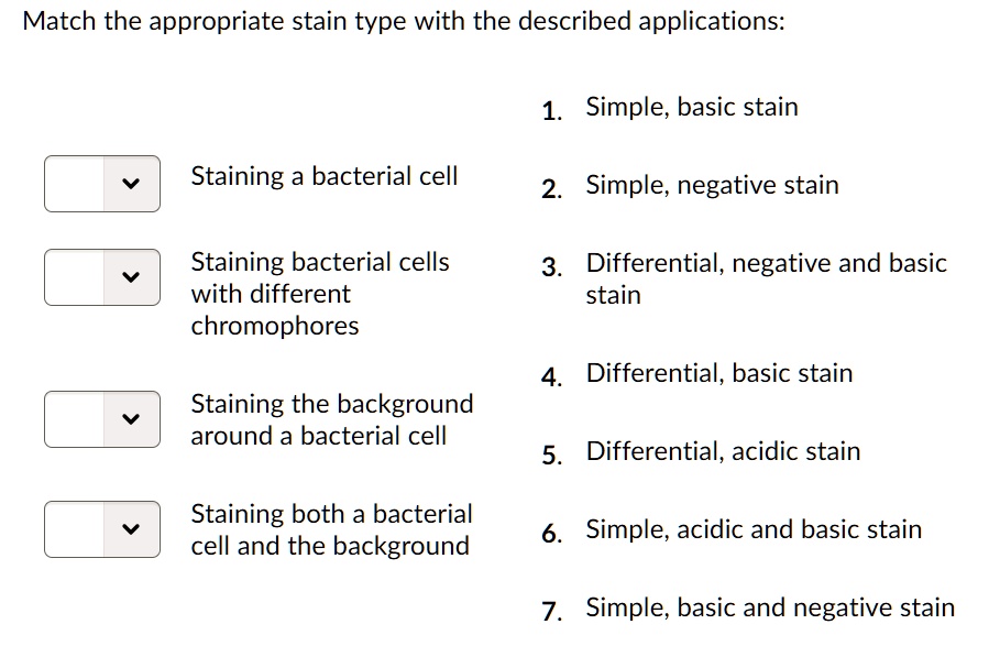 SOLVED Match the appropriate stain type with the described