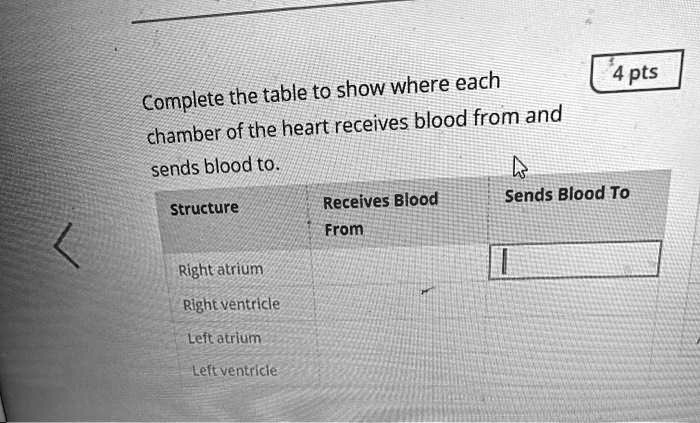 Complete the table to show where each chamber of the heart receives blood from and sends blood to.

Structure | Receives Blood From | Sends Blood To
Right atrium | | 
Right ventricle | | 
Left atrium | | 
Left ventricle | |