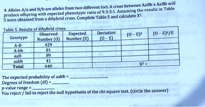 4. Alleles A/a and B/b are alleles from two different loci. A cross between AaBb x AaBb will produce offspring with expected phenotypic ratio of 9:3:3:1. Assuming the results in Table 5 were obtained from a dihybrid cross. Complete Table 5 and calculate X².
Table 5. Results of dihybrid cross.
Genotype | Observed Number (O) | Expected Number (E) | Deviation (O - E) | (O - E)² | (O - E)²/E
A-B- | 429 | | | | 
A-bb | 81 | | | | 
aaB- | 89 | | | | 
aabb | 41 | | | | 
Total | 640 | | | | X² =
The expected probability of aabb = 
Degrees of freedom (df) = 
p-value range = 
You reject / fail to reject the null hypothesis of the chi-square test. (circle the answer)