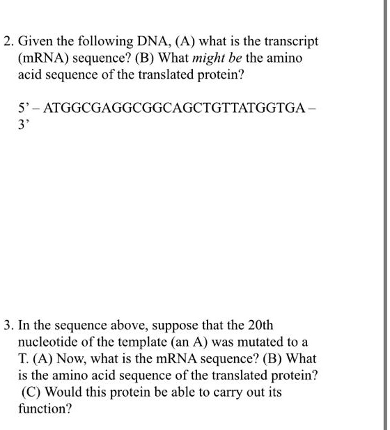 SOLVED: 2. Given The Following DNA, (A) What Is The Transcript (mRNA ...