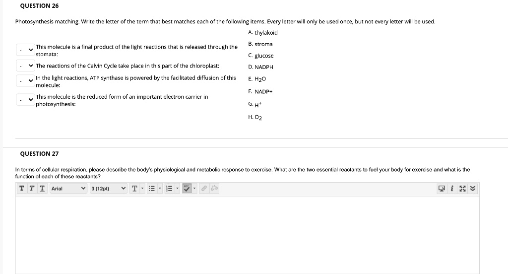 QUESTION 26

Photosynthesis matching. Write the letter of the term that best matches each of the following items. Every letter will only be used once, but not every letter will be used.

A. thylakoid
B. stroma
C. glucose
D. NADPH
E. H2O
F. NADP+
G. H+
H. O2

- This molecule is a final product of the light reactions that is released through the stomata:
- The reactions of the Calvin Cycle take place in this part of the chloroplast:
- In the light reactions, ATP synthase is powered by the facilitated diffusion of this molecule:
- This molecule is the reduced form of an important electron carrier in photosynthesis:

QUESTION 27

In terms of cellular respiration, please describe the body's physiological and metabolic response to exercise. What are the two essential reactants to fuel your body for exercise and what is the function of each of these reactants?