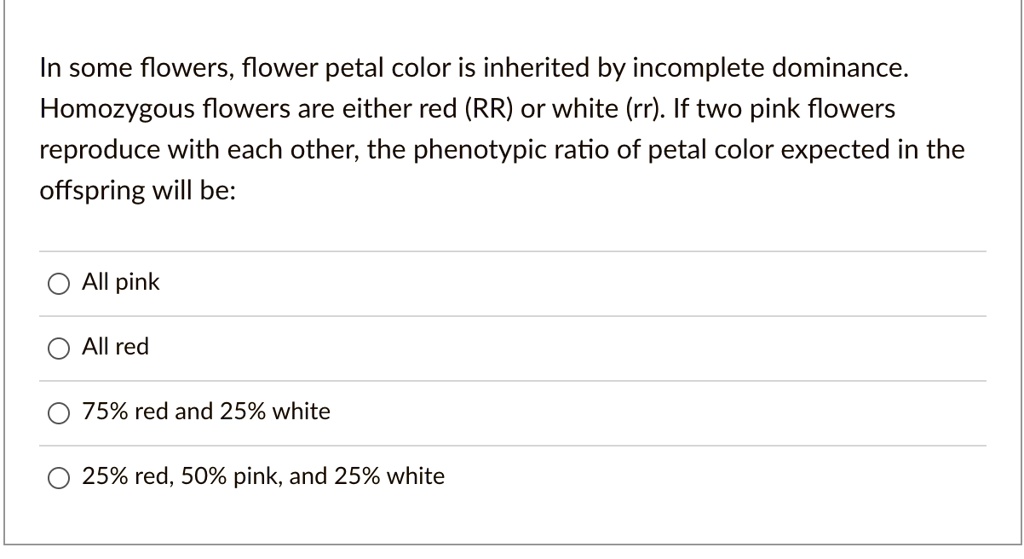 In some flowers, flower petal color is inherited by incomplete dominance. Homozygous flowers are either red (RR) or white (rr). If two pink flowers reproduce with each other, the phenotypic ratio of petal color expected in the offspring will be:
All pink
All red
75% red and 25% white
25% red, 50% pink, and 25% white