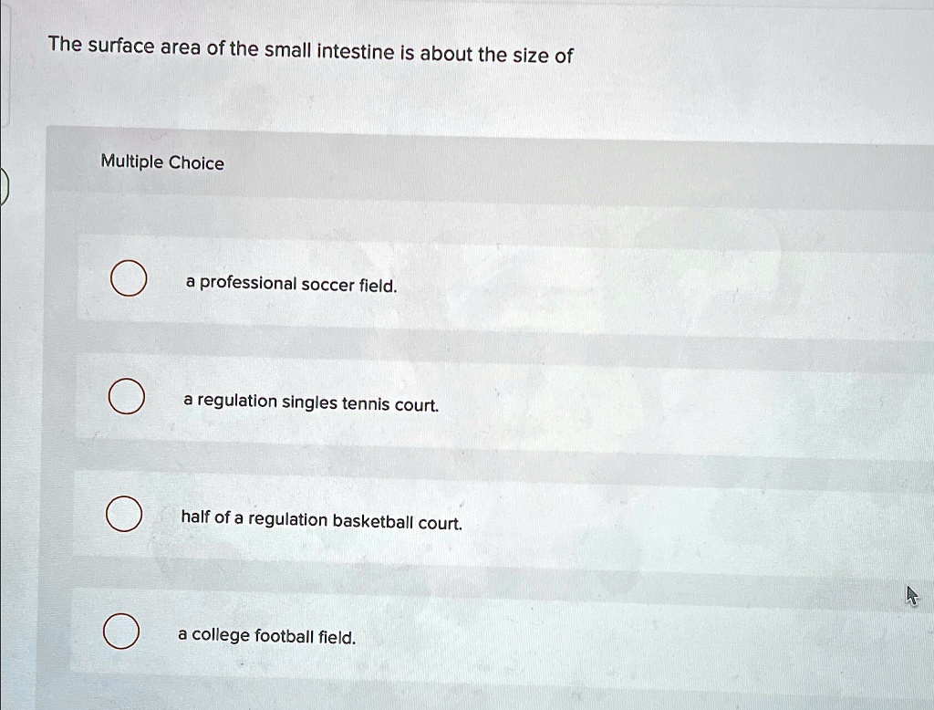 The surface area of the small intestine is about the size of Multiple