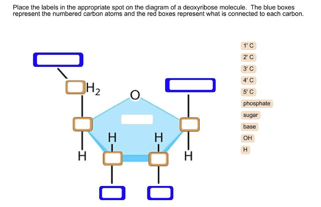 [GET ANSWER] Place the labels in the appropriate spot on the diagram of ...