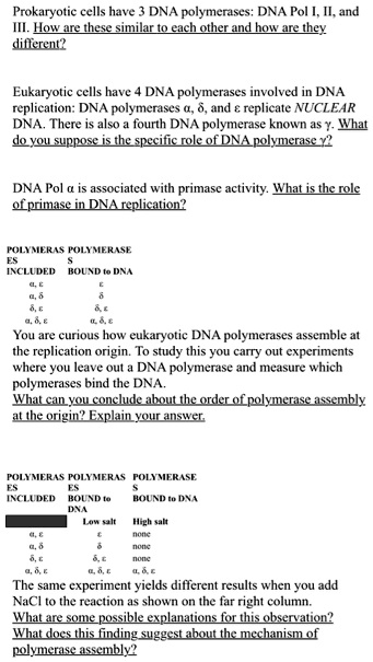 Prokaryotic cells have 3 DNA polymerases: DNA Pol I, II, and III. How are these similar to each other and how are they different?

Eukaryotic cells have 4 DNA polymerases involved in DNA replication: DNA polymerases ?, ?, and ? replicate NUCLEAR DNA. There is also a fourth DNA polymerase known as ?. What do you suppose is the specific role of DNA polymerase ??

DNA Pol ? is associated with primase activity. What is the role of primase in DNA replication?

POLYMERASES INCLUDED
POLYMERASES BOUND to DNA
?, ?
?
?, ?
?
?, ?
?, ?
?, ?, ?
?, ?, ?

You are curious how eukaryotic DNA polymerases assemble at the replication origin. To study this you carry out experiments where you leave out a DNA polymerase and measure which polymerases bind the DNA. What can you conclude about the order of polymerase assembly at the origin? Explain your answer.

POLYMERASES INCLUDED
POLYMERASES BOUND to DNA
Low salt
High salt
?, ?
?
none
?, ?
?
none
?, ?
?, ?
none
?, ?, ?
?, ?, ?
?, ?, ?

The same experiment yields different results when you add NaCl to the reaction as shown on the far right column. What are some possible explanations for this observation? What does this finding suggest about the mechanism of polymerase assembly?